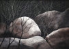 rjweinbergfineart045001.jpg