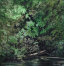 rjweinbergfineart045009.jpg