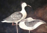 rjweinbergfineart045016.jpg