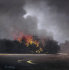 rjweinbergfineart045018.jpg